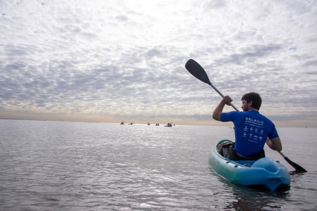Kayak